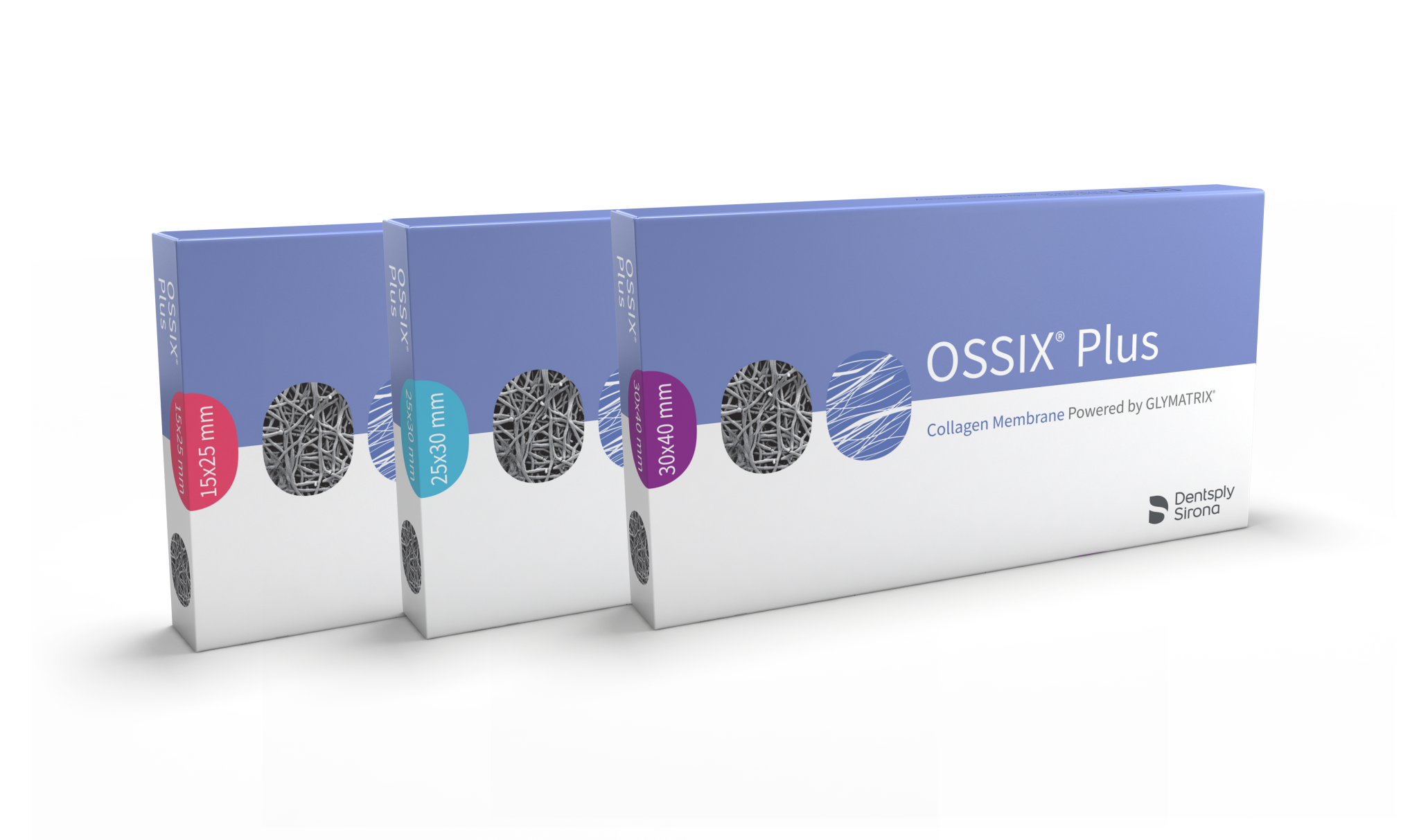 OSSIX® Plus Ossifying Collagen Membrane for GBR and GTR
